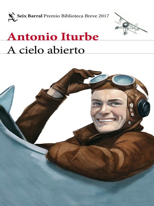Title details for A cielo abierto by Antonio Iturbe - Wait list